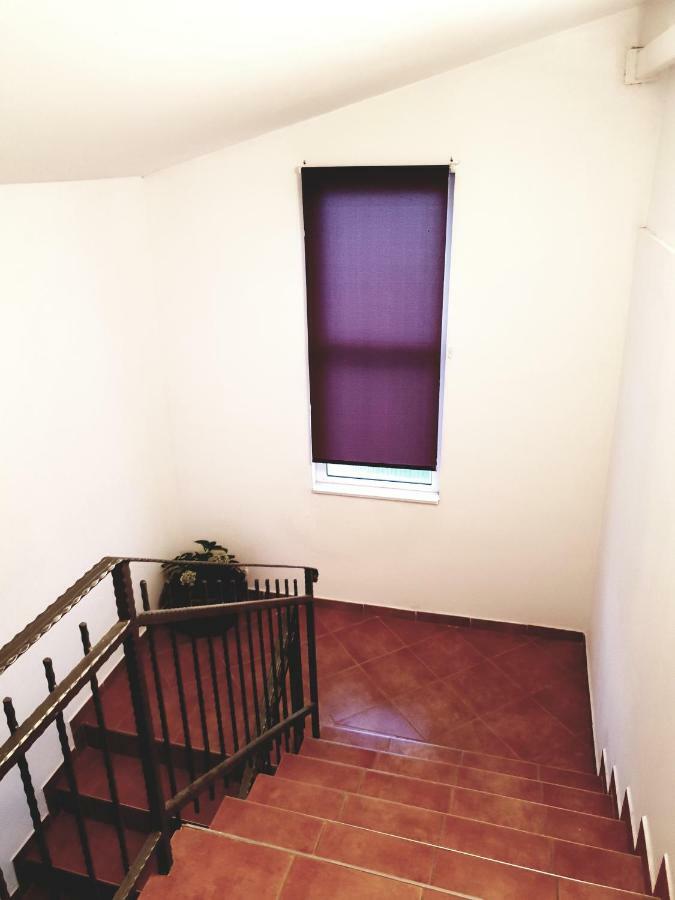 Apartments Petrovic Пировац Экстерьер фото